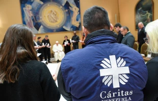 Imagen de la audiencia entre el Papa Francisco con presidentes de Cáritas América Latina y el Caribe este 15 de enero Crédito: Vatican Media