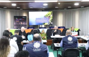 Reunión de Cáritas Venezuela este 20 de agosto en Caracas. Crédito: Cáritas Venezuela.