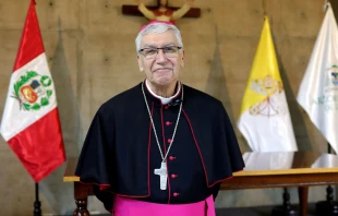 Cardenal Carlos Castillo. Crédito: Cortesía de Agencia Andina