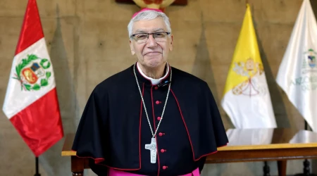 Cardenal Carlos Castillo