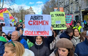 Marcha por la Vida en España llama a desenmascarar la cultura de la muerte. Crédito: Nicolás de Cárdenas / ACI Prensa