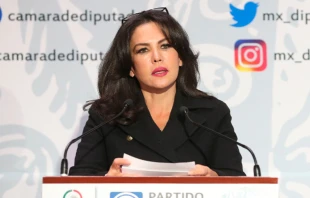 Teresa Castell. Crédito: Cámara de Diputados