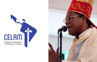 El llamado de los obispos latinoamericanos a los secuestradores se une también al que hiciera Mons. Perre Dumas, Obispo de Anse-à-Veau y Miragoâne (Haití), quien se ofreció como rehén a cambio de los secuestrados. Crédito: Our Lady of Fatima International Pilgrim Statue (CC BY-SA 2.0) / CELAM.