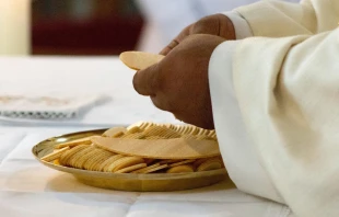 Imagen referencial Crédito: Norbert47/Pixabay