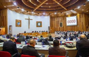 Los obispos mexicanos hablaron sobre la designación de un obispo para acompañar la "Pastoral de la Consolación" en su sesión del viernes 14 de noviembre, durante su Asamblea Plenaria. Crédito: Conferencia del Episcopado Mexicano.