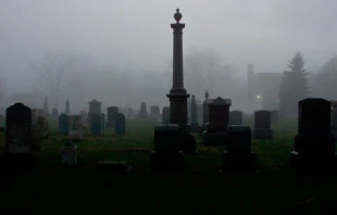 Imagen referencial / Foto: Unsplash 