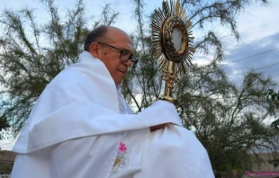 Imagen referencial del Padre Cheluz en una procesión con el Santísimo. Crédito: Parroquia Jesús de Nazareth