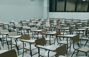 Imagen referencial. Crédito: Natã Romualdo / Pexels