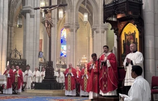 El Cardenal José Cobo, en la Catedral de Nuestra Señora de la Almudena. Crédito: Archidiócesis de Madrid.