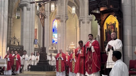 El Cardenal José Cobo, en la Catedral de Nuestra Señora de la Almudena.
