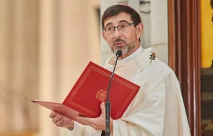 El Arzobispo de Madrid, Cardenal José Cobo. Crédito: Archimadrid