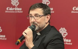 El Arzobispo de Madrid, Cardenal José Cobo. Crédito: Archidiócesis de Madrid.