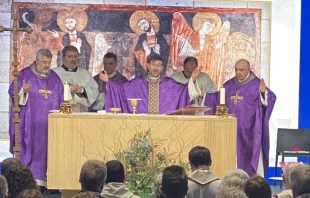 El Cardenal José Cobo, durante la Misa de clausura del Encuentro de Laicos sobre el Primer Anuncio. Crédito: CEE