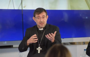 El Arzobispo de Madrid, Cardenal José Cobo. Crédito: Nicolás de Cárdenas / ACI Prensa