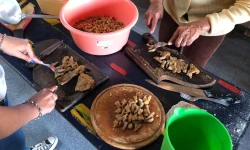 Mujeres trabajando en un comedor