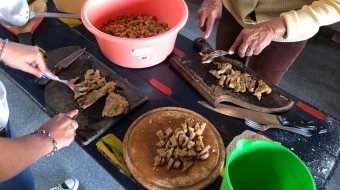 Mujeres trabajando en un comedor
