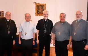 Durante el encuentro, la Comisión Ejecutiva del Episcopado (en la imagen) pidió al mandatario atender a aquellos sectores vulnerables que sufren, sobre todo, por la falta de medicamentos y alimentos. Crédito: CEA.