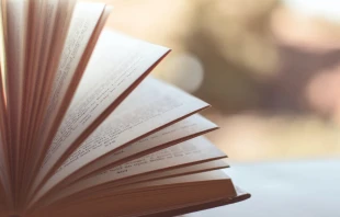 Imagen referencial Crédito: Pexels