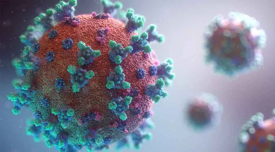 Imagen referencial / Ilustración del coronavirus. Crédito: Fusion Medical Animation / Unsplash.