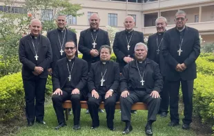 Obispos de Costa Rica. Crédito: Conferencia Episcopal de Costa Rica