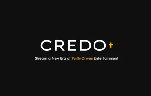 Logo de la plataforma CREDO null