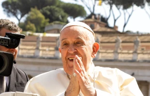 El Papa Francisco. Crédito: Fabrizio Maffei / Shutterstock