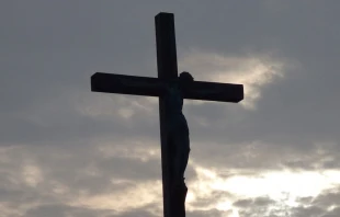 El P. Manuel Fernando Pascual ha sido expulsado y excomulgado por abusar de monjas en Argentina, fallo que ha apelado. Crédito: Pixabay