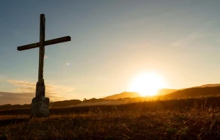 Imagen referencial. Crédito: CRISTIANO DE ASSUNÇÃO / Unsplash.