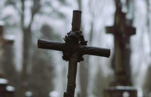 Imagen referencial. Crédito: Pexels.