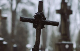 Imagen referencial. Cru00e9dito: Koolshooters / Pexels. 