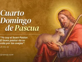 Hoy celebramos el Cuarto Domingo de Pascua, el domingo del Buen Pastor