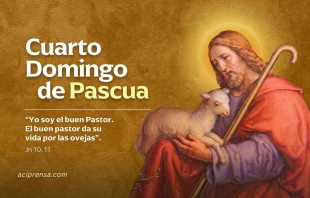 null Cuarto Domingo de Pascua 2025 / ACI Prensa