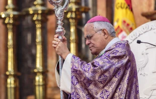 Mons. Demetrio Fernández, Obispo de Córdoba (España). Crédito: Diócesis de Córdoba.
