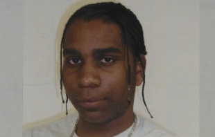 Demi Minor. Cru00e9dito: Justice 4 Demi 