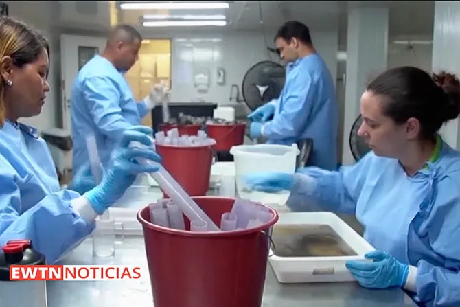  Iglesia insta a bolivianos a colaborar para detener el alto contagio del dengue