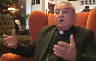 Mons. Denys Antoine Chahda. Crédito: David Ramos / ACI Prensa.