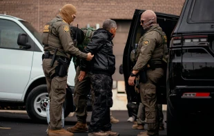 Una persona detenida es llevada a un estacionamiento en el extremo norte de Chicago antes de ser trasladada a un centro del Servicio de Inmigración y Control de Aduanas (ICE) el 31 de octubre de 2025. Crédito: Jamie Kelter Davis/Getty Images