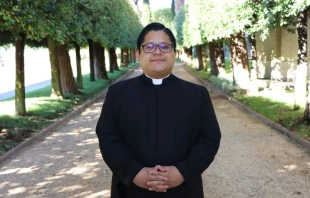 El hermano José Luis Martínez. Crédito: Regnum Christi.