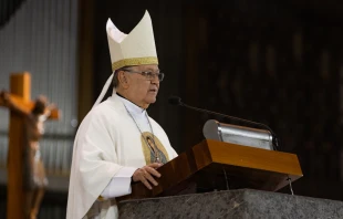Mons. Enrique Díaz. Crédito: Insigne y Nacional Basílica de Santa María de Guadalupe