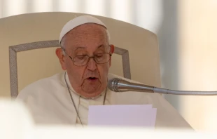 El Papa Francisco, durante la celebración del Audiencia General el 11 de octubre de 2023. Crédito: Daniel Ibañez / ACI Prensa