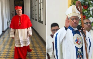 Cardenal Jaime Spengler / Mons. Julio César Salcedo Aquino Crédito: Arquidiócesis de Porto Alegre / Diócesis de Tlaxcala