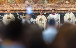 El Cardenal Luis Antonio Tagle, pro-prefecto del Dicasterio para la Evangelización, preside la Misa del Jubileo de los Misioneros Digitales e Influencers Católicos el 29 de julio de 2025, en la Basílica de San Pedro del Vaticano. Crédito: Daniel Ibañez/EWTN News.