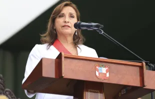 Presidenta Dina Boluarte. Crédito: Cortesía de ANDINA/Prensa Presidencia
