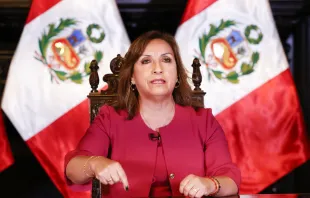 Dina Boluarte, Presidente del Perú. Crédito: ANDINA/Prensa Presidencia