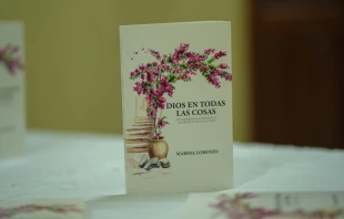El libro "Dios en todas las cosas", de Marina Lorenzo Crédito: Cortesía