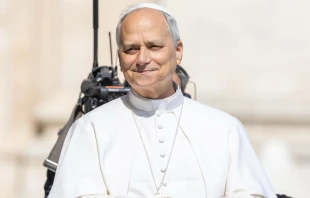 El Papa León XIV en la Audiencia General de este miércoles Crédito: Daniel Ibáñez/ EWTN News