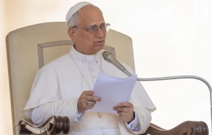 El Papa León XIV en la audiencia general del miércoles 18 de junio Crédito: Daniel Ibáñez/ EWTN News