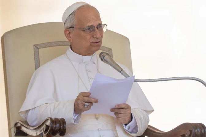 El Papa León XIV en la audiencia general del miércoles 18 de junio