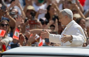 El Papa León XIV saluda a la multitud en la Audiencia General de este miércoles Crédito: Daniel Ibáñez/ EWTN News