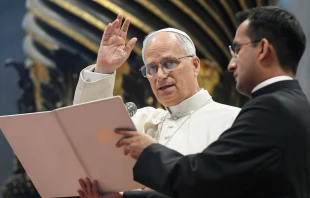 Imagen referencial del Papa León XIV Crédito: Vatican Media